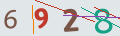 verifycode
